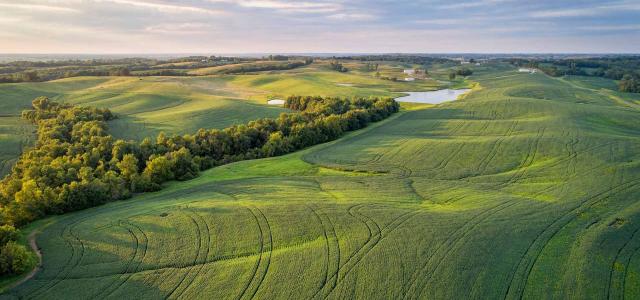 Green Soybean Fields in Missouri Aerial View